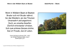 Wenn-in-den Wäldern-Goethe.pdf
